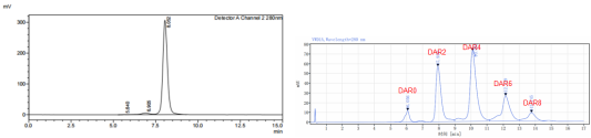 Her2 x Trop2双抗的纯度(SEC-HPLC)和偶联后DAR分布(HIC-HPLC)